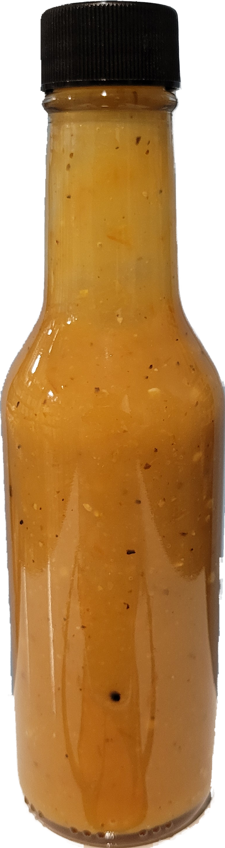 Ghost in the init=mango/bin/sh - [Mango Habanero]